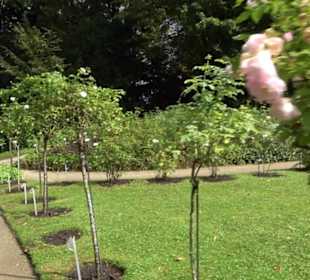 Rosengarten auf der Roseninsel