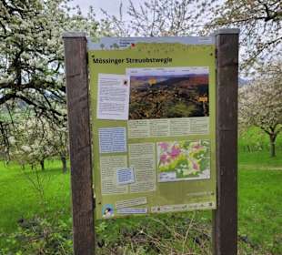 Wanderstrecke Mössinger Streuobstwegle