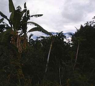Die Natur bei Caja Seca