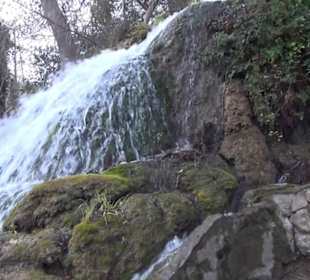Aussenbereich - Wasserfall