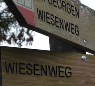 Zu Fuß ab der Talstation nach St. Georgen u.zurück