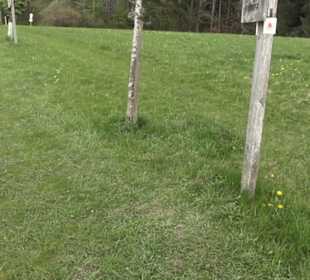 Lehrpfad Bäume des Jahres