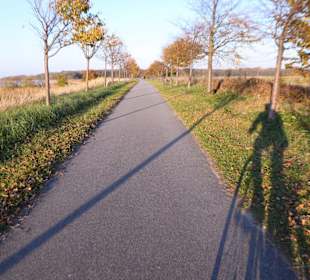Boddenrundfahrt
