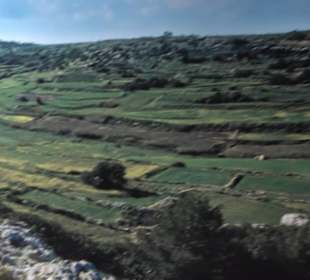 National Museum Of Archaeology