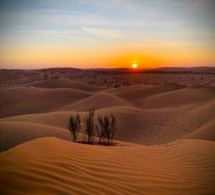 Wüstentour Salalah