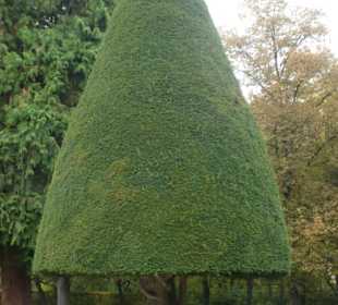 Herbst-Spaziergang im Würzburger Residenzgarten