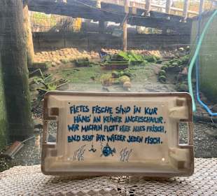 Reinigung des großen Fischbeckens