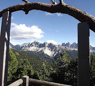 Auf dem Woodywalk
