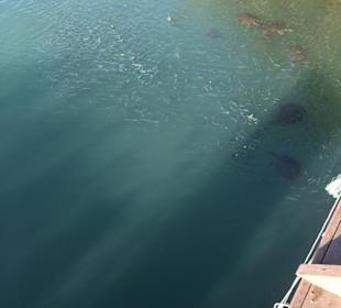 Stadtrundgang Evrenseki