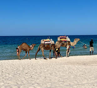 Strand Port El-Kantaoui