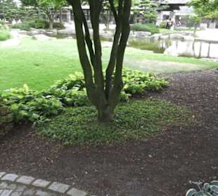 Japanischer Garten