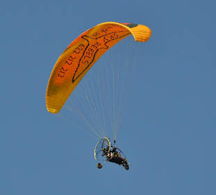 Fly like an eagle...