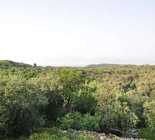 Ausblick von der Terrasse