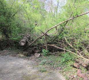 Der Weg ist zu