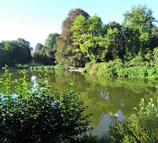 Spaziergang durch den Stadtpark Lübeck
