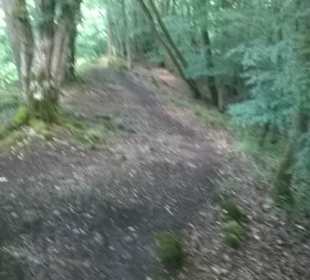 Impressionen Förstersteig