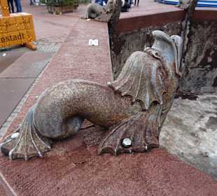 Stadtrundgang Freudenstadt