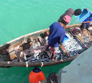 Fischer mit ihrem Fang