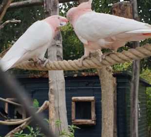 Bilder aus dem ZOO