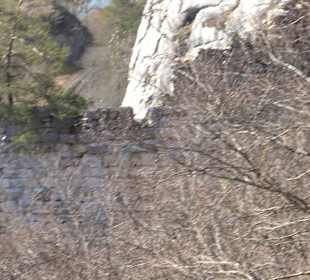 Burgruine Neugutenstein