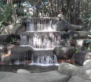 Wasserfall am Nature Walk