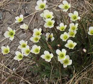 Im Juni beginnt hier der Frühling