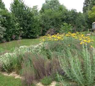 Blühendes Neresheim 2021