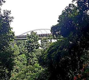 Henderson Waves Bridge