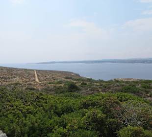 Rundgang auf der Insel mit Blick zum Strand