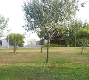 Strandpromenade Evrenseki