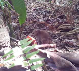 Ausflug mit Mario von Edelweiss Tours