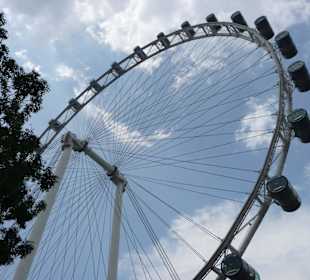 Das höchste Riesenrad der Welt