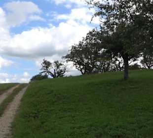 Hochgehnießen - Premiumspazierwanderweg