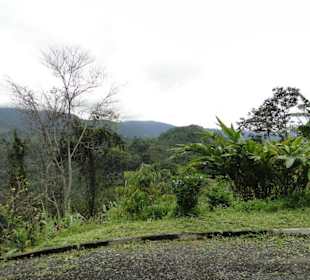 Wildlife Expeditions