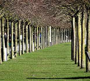 Im März an der Vegesacker Weserpromenade