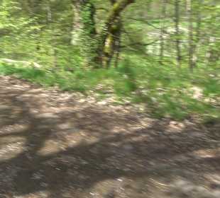 Kreuzweg - Stationenweg