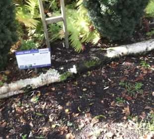 Kneipp`scher Sinnesgarten