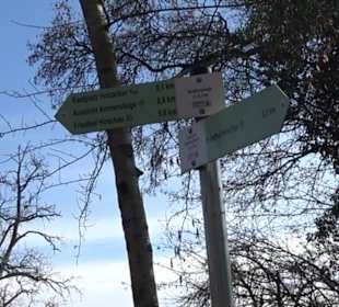 Hirschauer Spitzbergwegle (Premiumspazierwanderweg