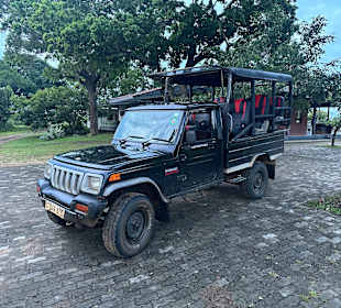 Jeep
