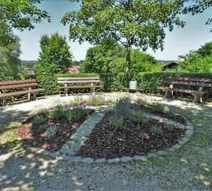 Spaziergang durch den Kurpark von Bernau