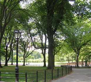 Central Park im Herzen Manhattan´s...