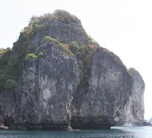 Le rocce mangiate dalla marea