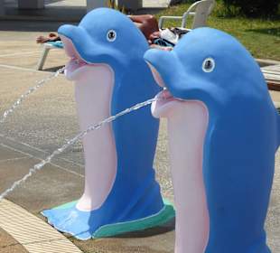 Flippers zieren den Pool