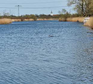 Loitz in Sicht
