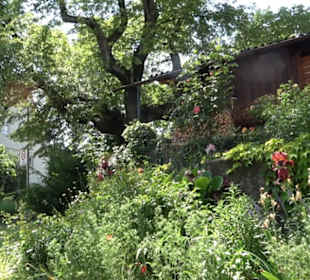 Historischer Rundweg Gönningen