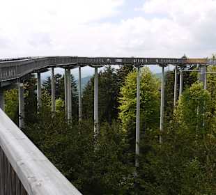 Der Baumgipfelpfad in St.Engelmar, barrierefrei