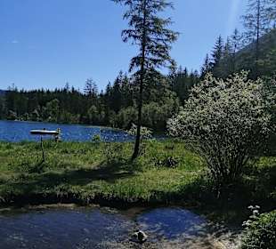 Hintersee