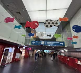 Flughafen Basel Mülhausen Freiburg (EAP)