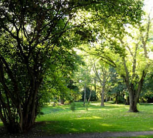 Spaziergang durch den Klosterpark Weende