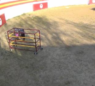 Plaza de Toros